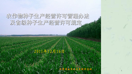 农作物种子生产经营许可管理办法解读课件